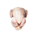 Fresh Chicken - Meat hub store