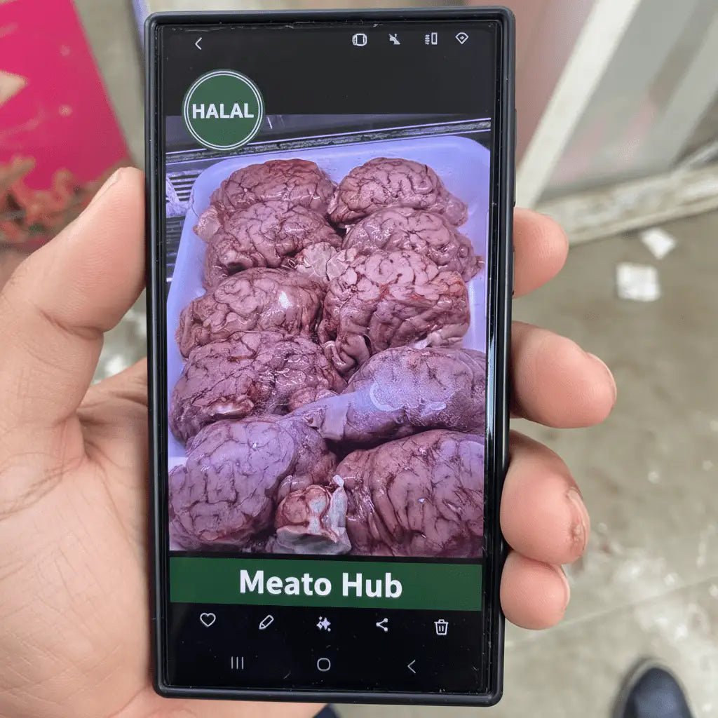 Fresh Halal Mutton Brain | Maghaz - Meat Hub Store Associate with Samraiziqbal meat seller EST