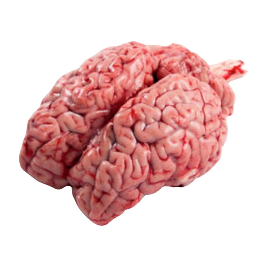 Fresh Halal Mutton Brain – Maghaz - Samraiziqbal meat seller EST