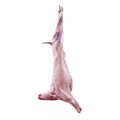 Mutton Whole - Meat store hub