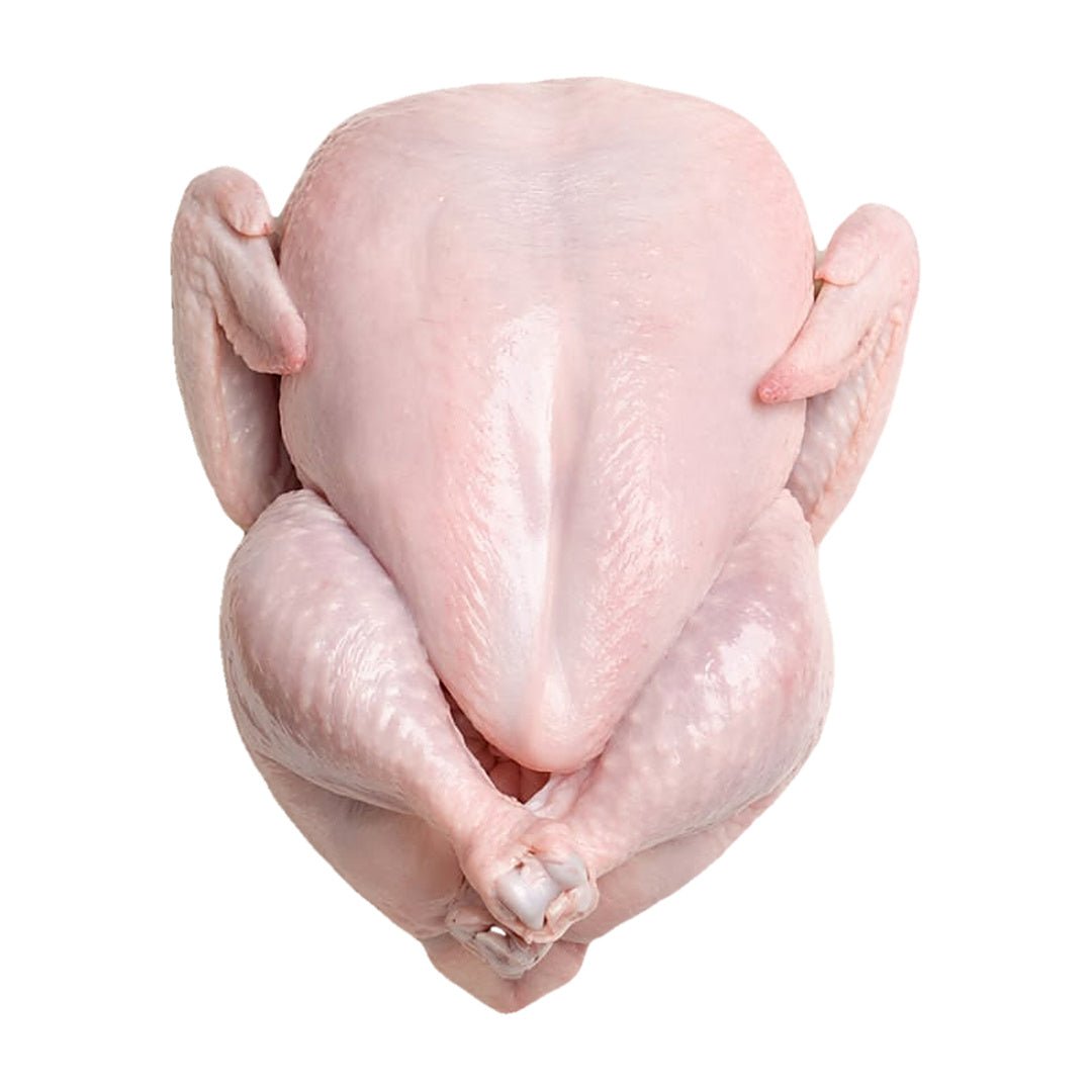 Fresh Halal Whole Chicken - Samraiziqbal meat seller EST